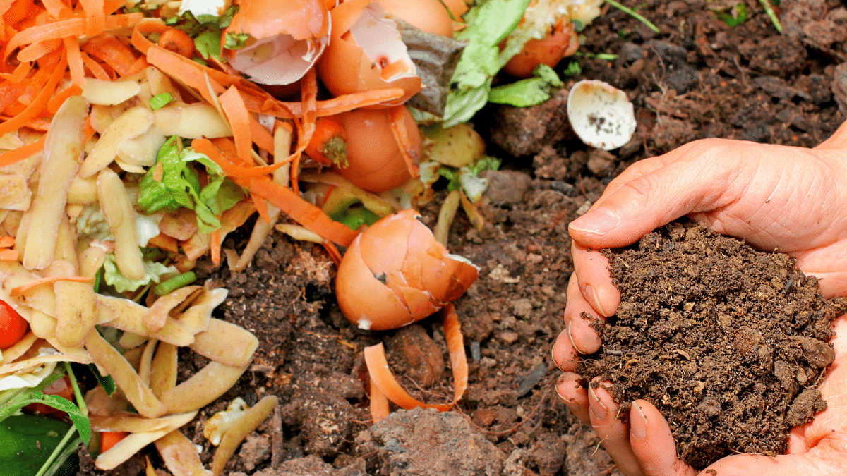 La technique de mon voisin jardinier pour un compost parfait en un temps record
