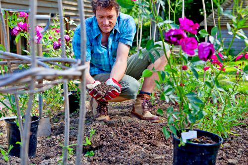 Un vieux jardinier m’a confié son astuce pour éloigner les limaces sans produits chimiques